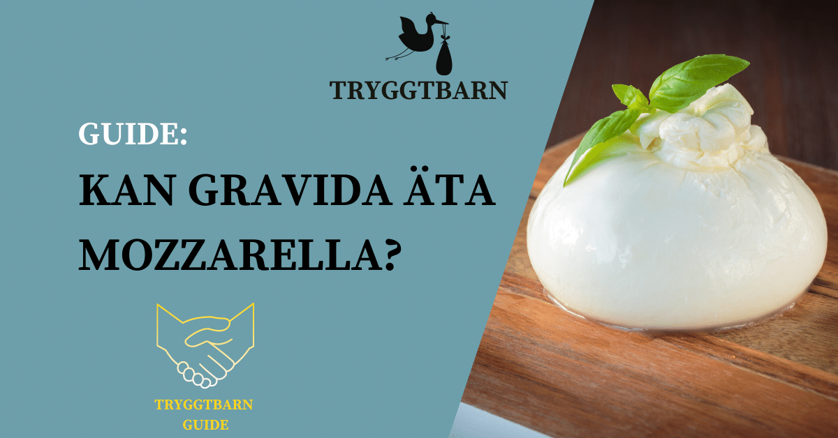 Gravid: Mozzarella – Ja eller Nej?